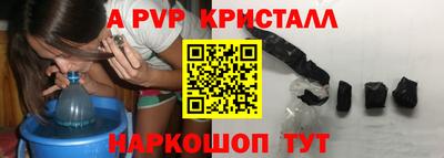 индика Лесосибирск