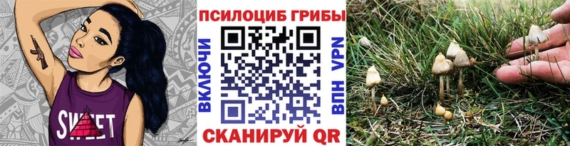 Псилоцибиновые грибы Cubensis  Донецк 