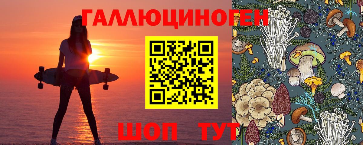 Галлюциногенные грибы мицелий Донецк