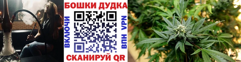 Шишки марихуана индика  где купить наркоту  Донецк 